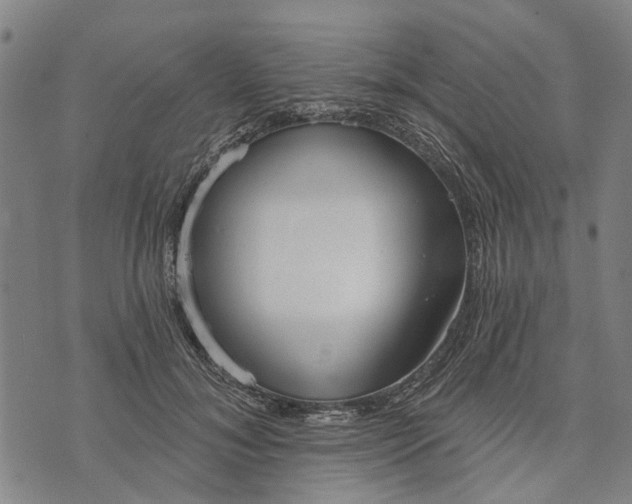 X0000073760700200608241412