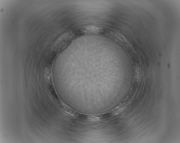 X0000073760701200608241412