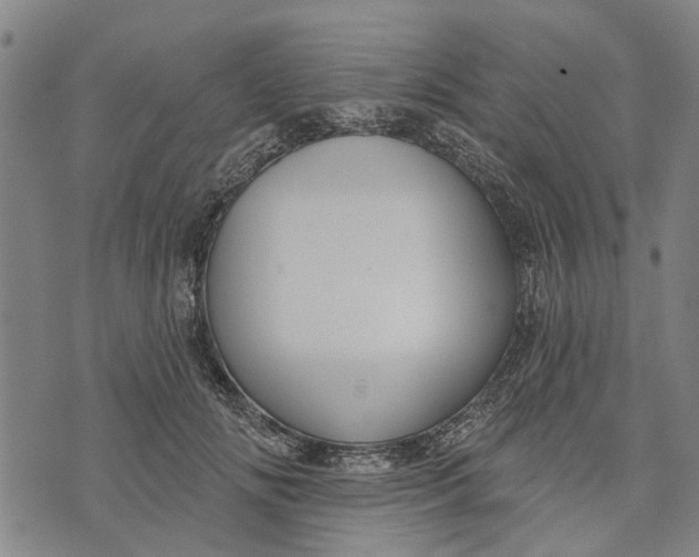 X0000073760702200608241412