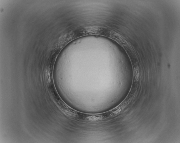 X0000073760703200608241412