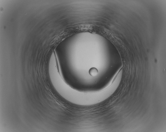 X0000073760704200608241412