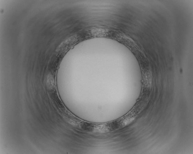 X0000073760705200608241412