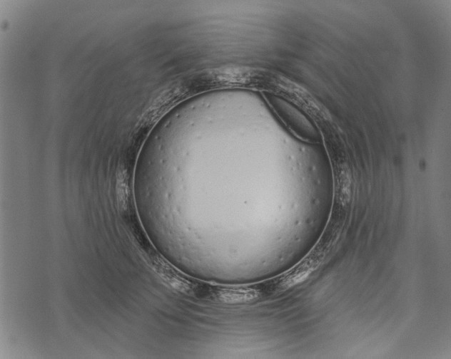 X0000073760707200608241412