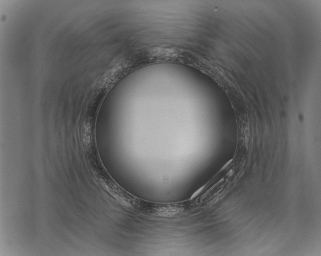 X0000073760708200608241412