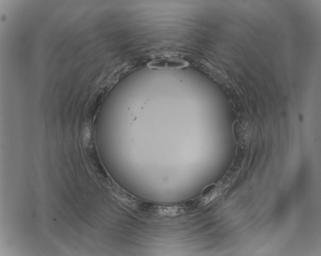 X0000073760709200608241412