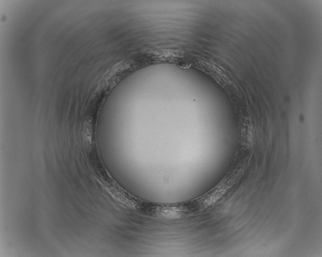 X0000073760710200608241412