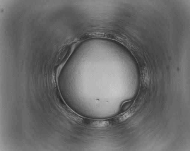 X0000073760711200608241412