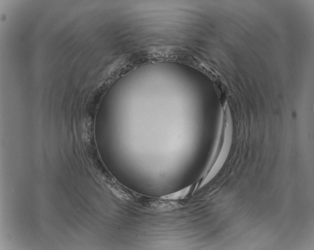 X0000073760712200608241412