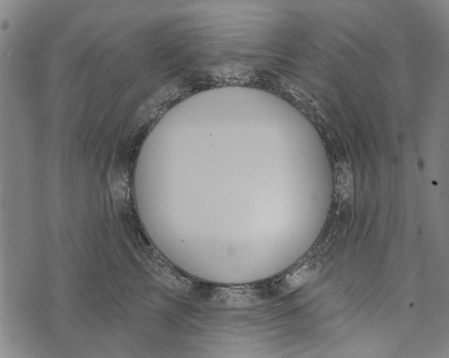 X0000073760713200608241412