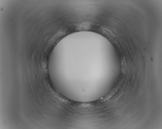 X0000073760714200608241412