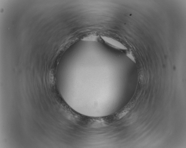 X0000073760715200608241412