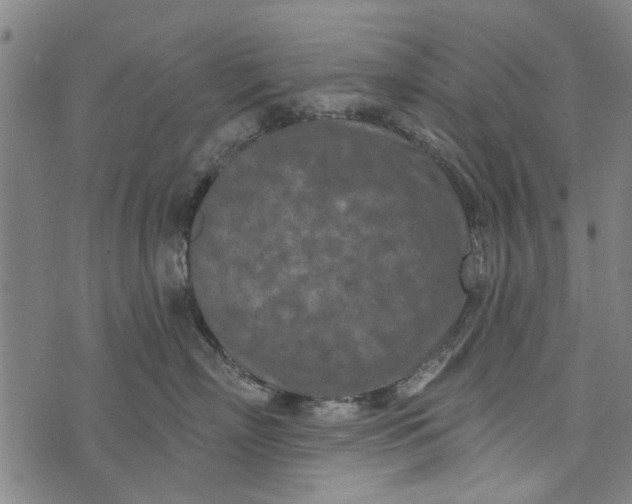 X0000073760718200608241412