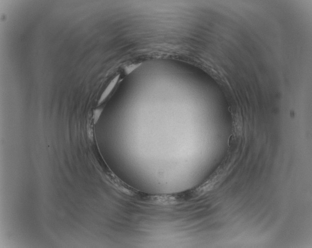 X0000073760719200608241412