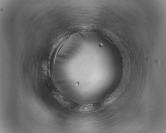 X0000073760720200608241412