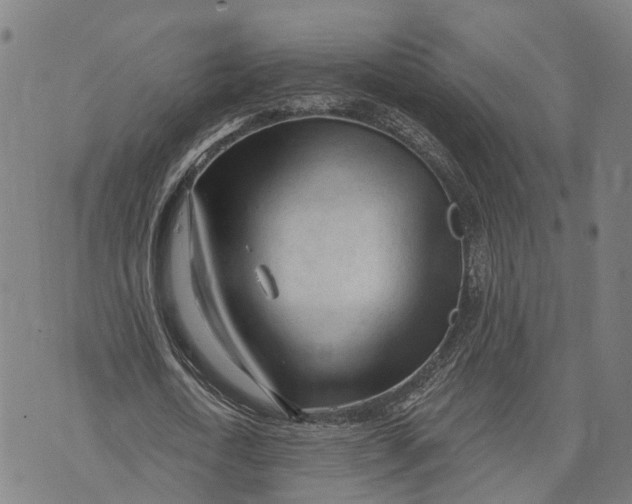 X0000073760722200608241411