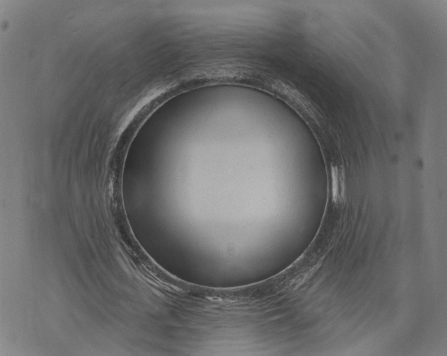 X0000073760723200608241411