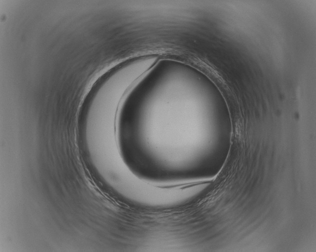 X0000073760724200608241411