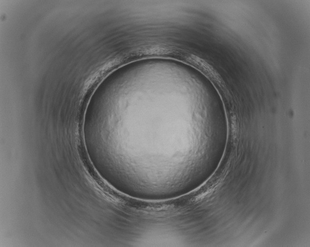 X0000073760725200608241411