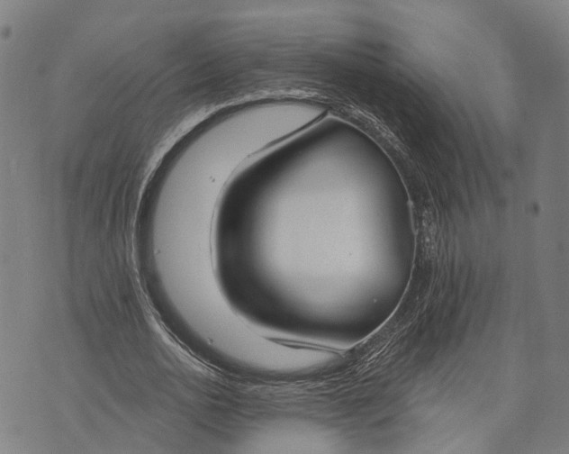 X0000073760726200608241411