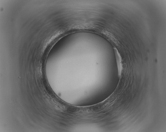 X0000073760727200608241411