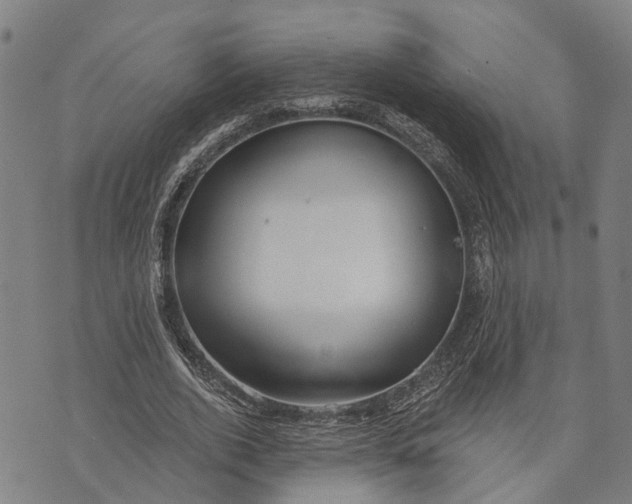 X0000073760728200608241411