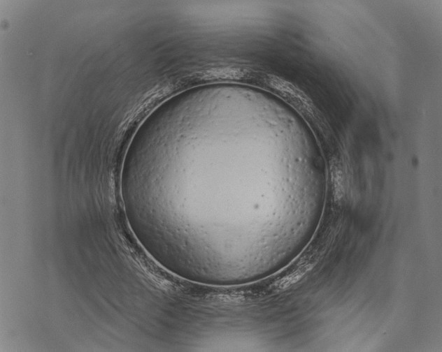 X0000073760729200608241411