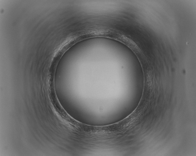 X0000073760730200608241411