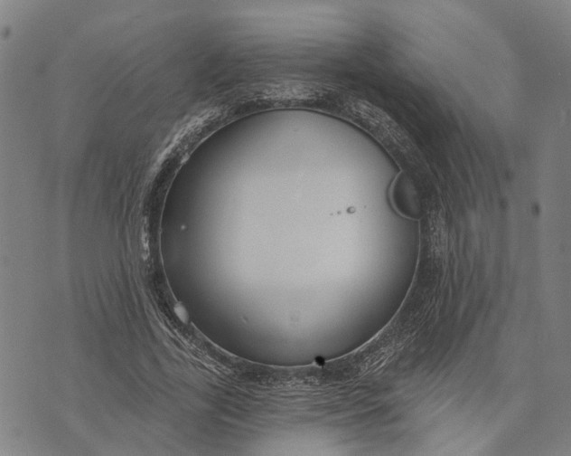 X0000073760731200608241411