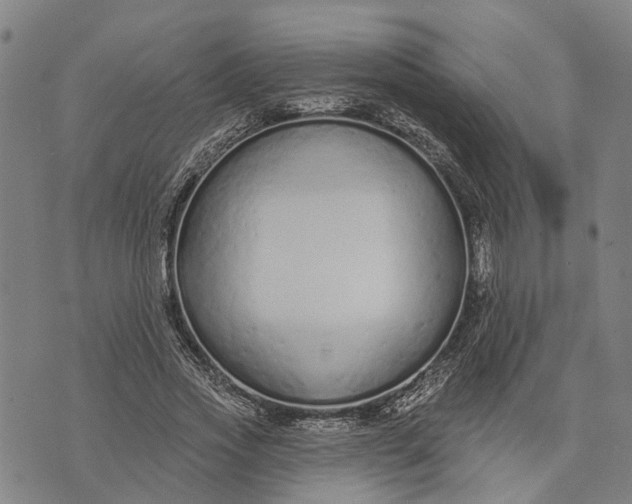 X0000073760733200608241411