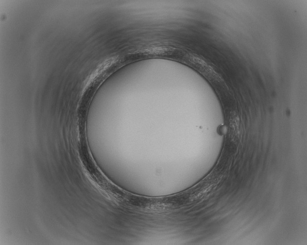 X0000073760734200608241411