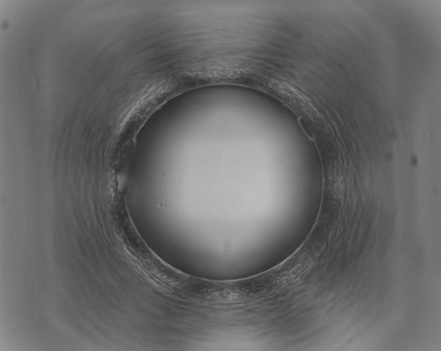 X0000073760735200608241411