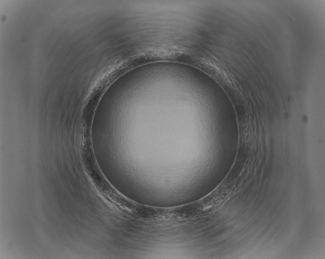 X0000073760736200608241411