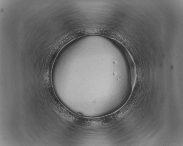 X0000073760737200608241411