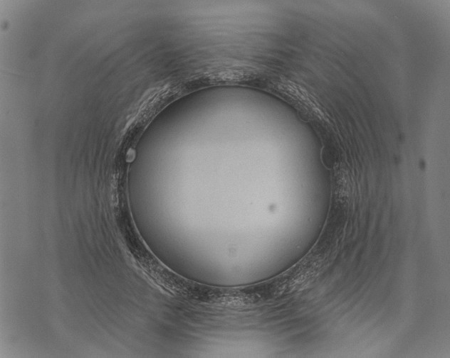 X0000073760738200608241411