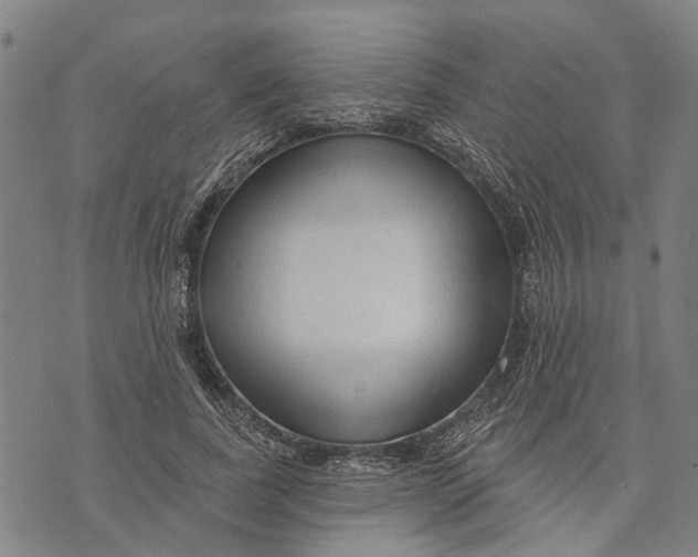 X0000073760739200608241411