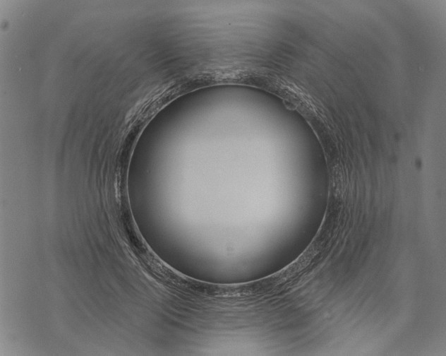 X0000073760740200608241411