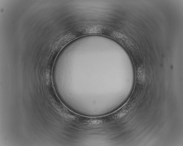 X0000073760741200608241411