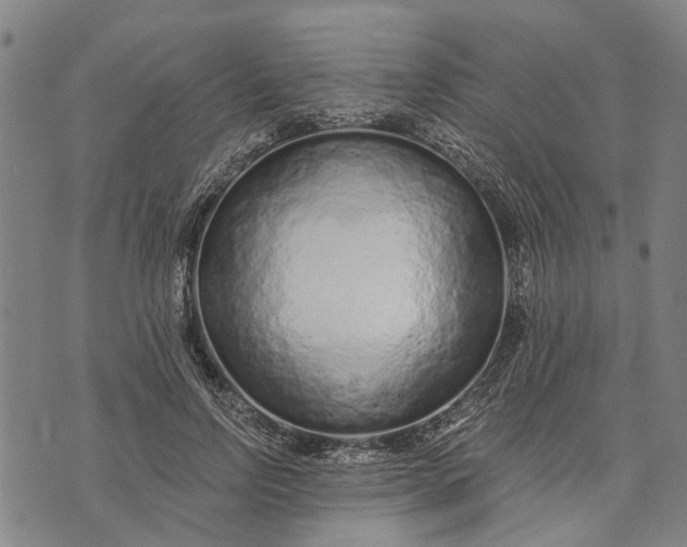 X0000073760742200608241411