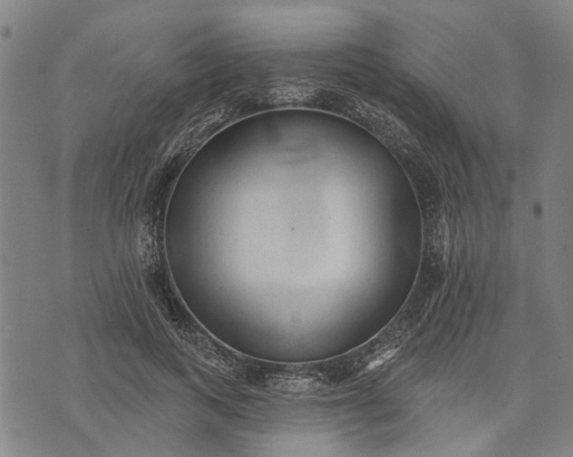 X0000073760743200608241411