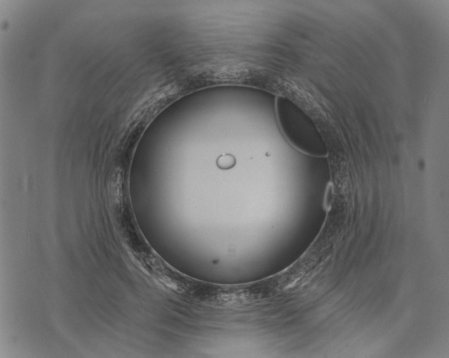 X0000073760744200608241411