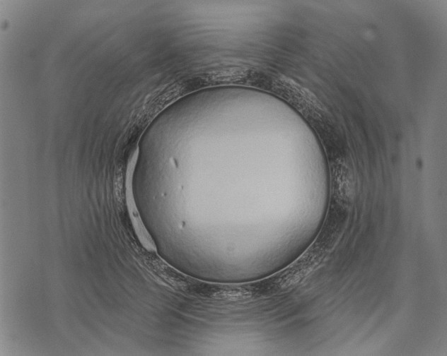 X0000073760745200608241411