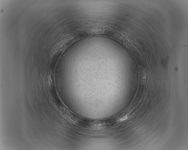 X0000073760746200608241411