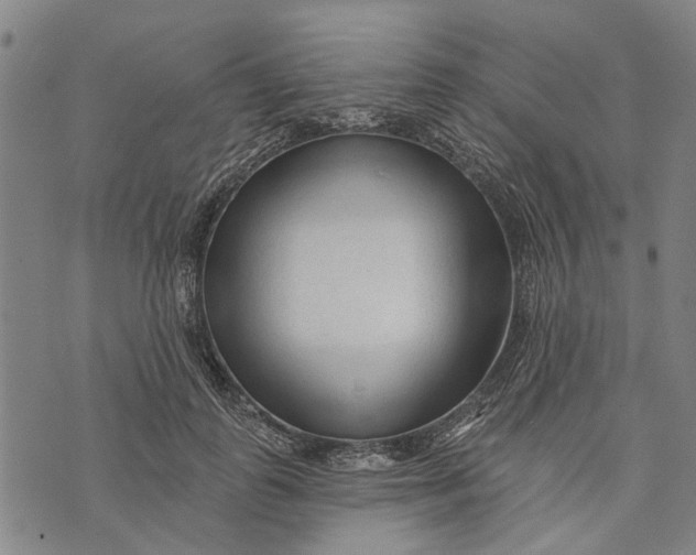 X0000073760747200608241411