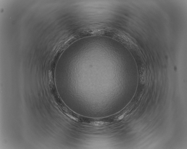 X0000073760748200608241411