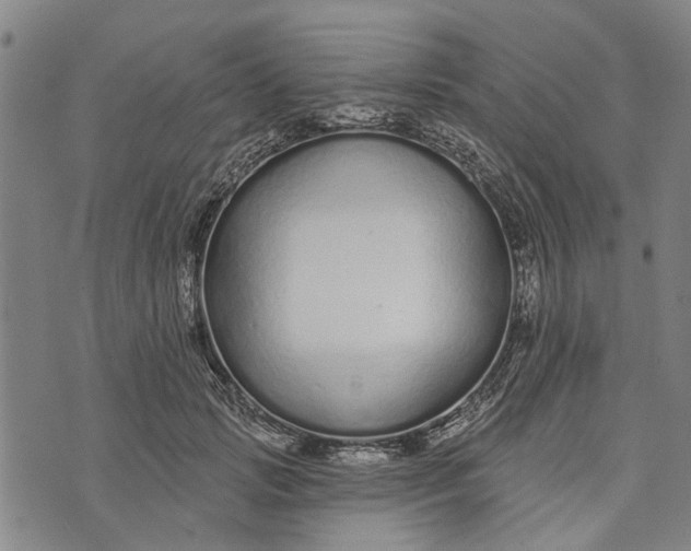 X0000073760749200608241411