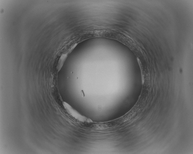 X0000073760750200608241411