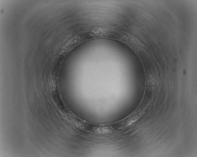 X0000073760751200608241411