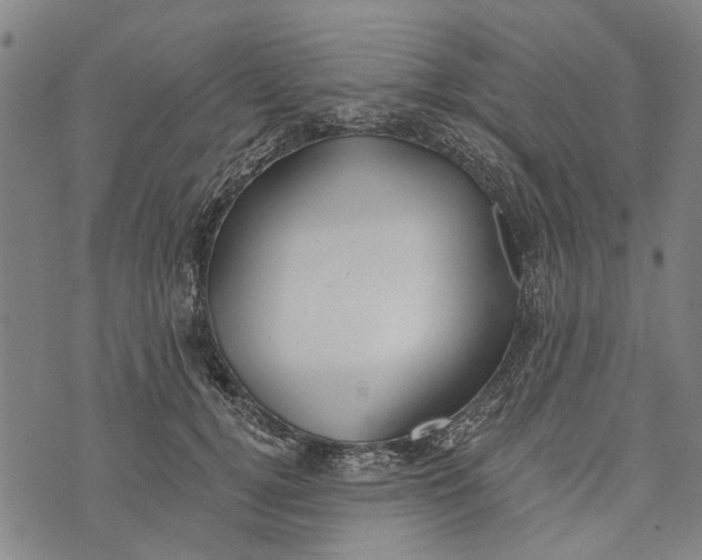 X0000073760752200608241411