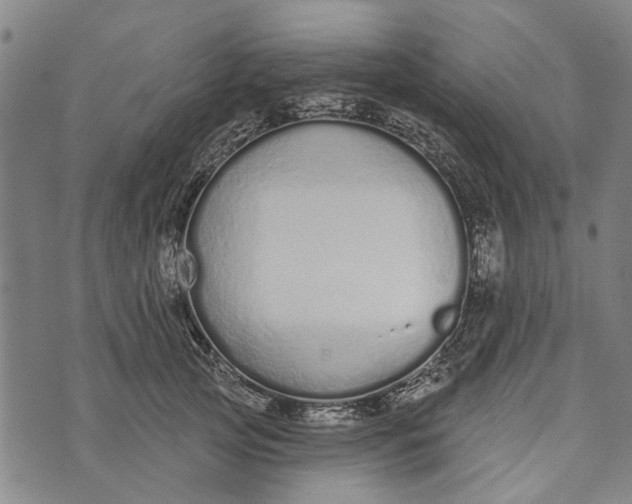 X0000073760753200608241411