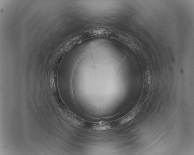 X0000073760754200608241411